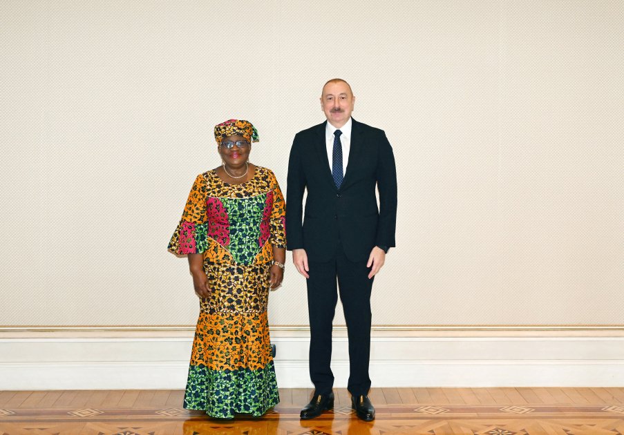Prezident Ümumdünya Ticarət Təşkilatının baş direktorunu qəbul etdi - FOTO/VİDEO - foto 2
