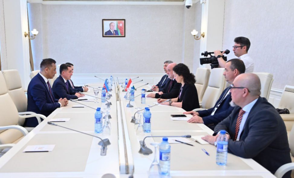 Macarıstanlı deputatlar Milli Məclisdə - FOTO - foto 1