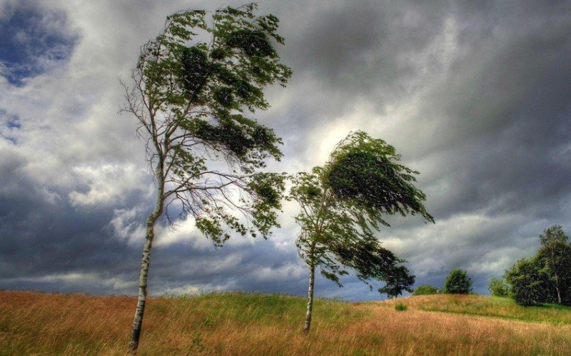 Küləkli hava şəraiti ilə bağlı sarı və narıncı XƏBƏRDARLIQ EDİLDİ - FOTO Küləkli hava şəraiti ilə bağlı sarı və narıncı XƏBƏRDARLIQ EDİLDİ - FOTO