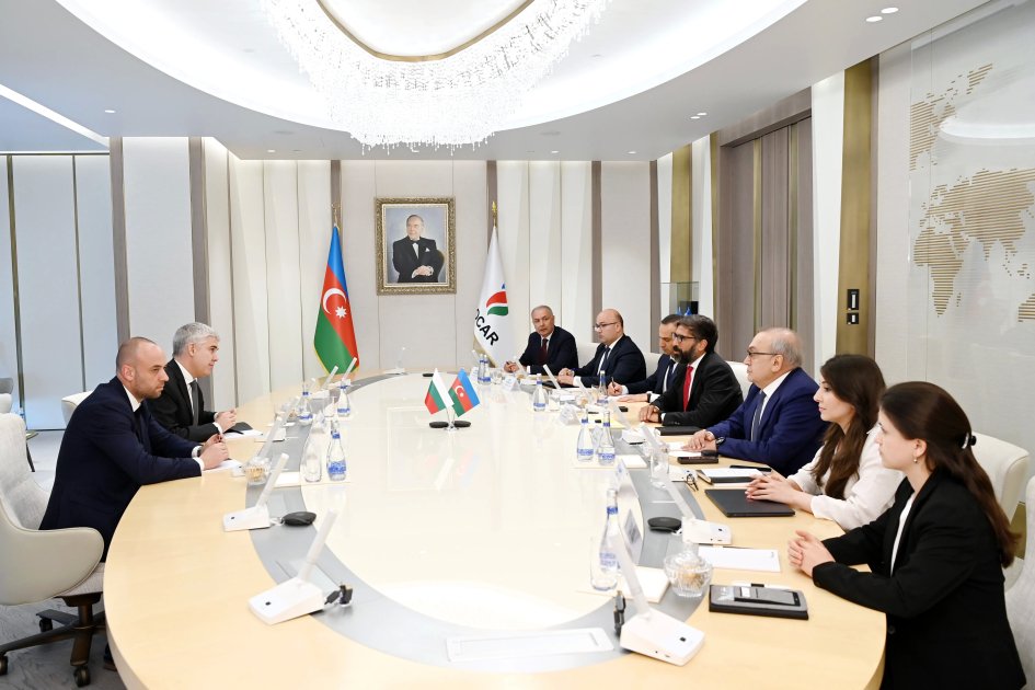 Azərbaycan və Bolqarıstan arasında enerji sahəsində əməkdaşlıq müzakirə edilib - FOTO