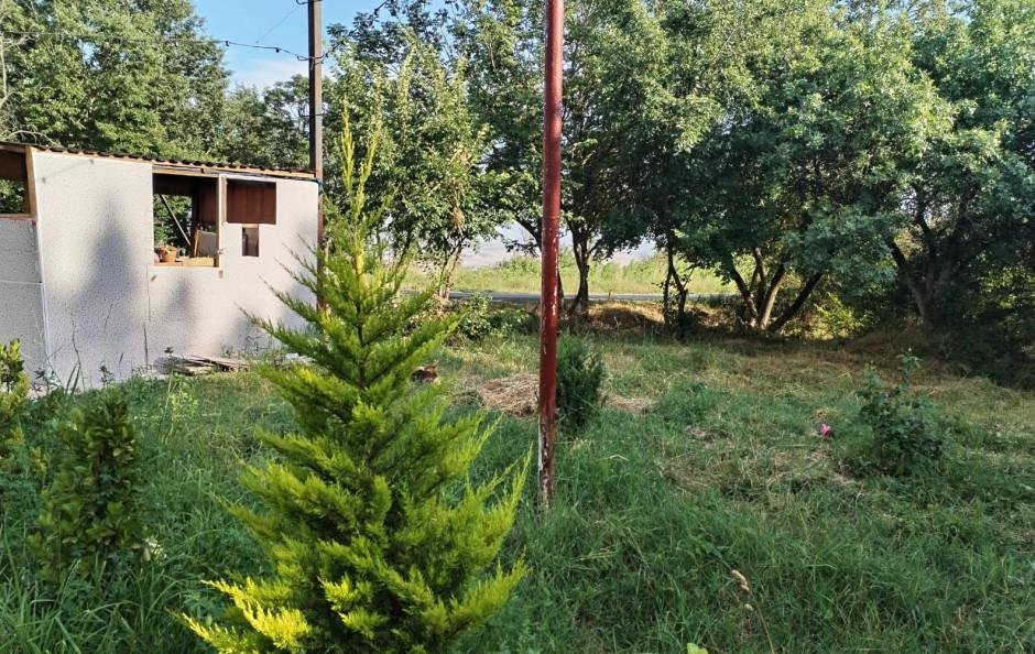 Ağsuda bu obyektin fəaliyyəti dayandırıldı – FOTO/VİDEO   - foto 3