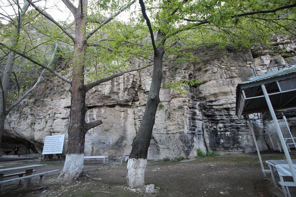 Avey dağı möcüzəsi - Damcılı - FOTO/VİDEO - foto 4