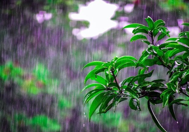 Ölkə ərazisində yağıntılı hava şəraiti bu tarixədək davam EDƏCƏK