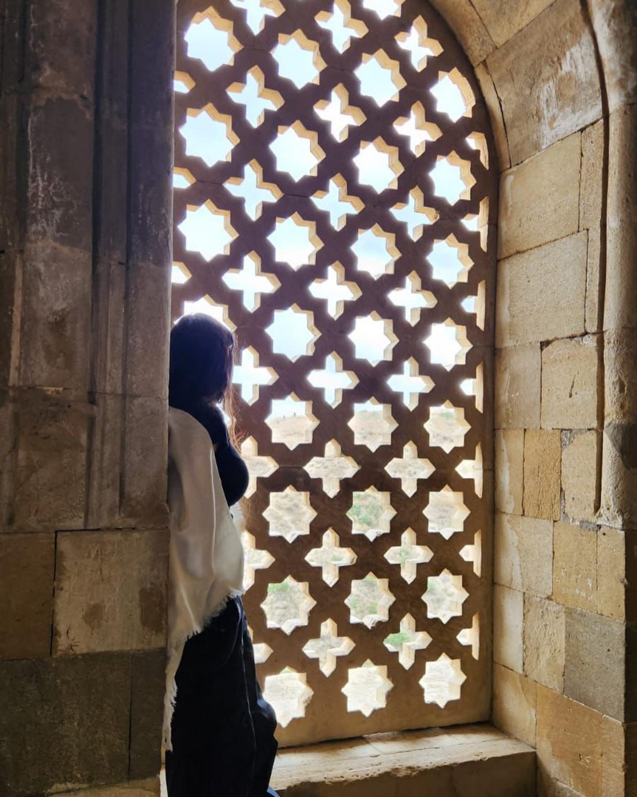 Leyla Əliyeva QOBUSTANDA - FOTO - foto 9