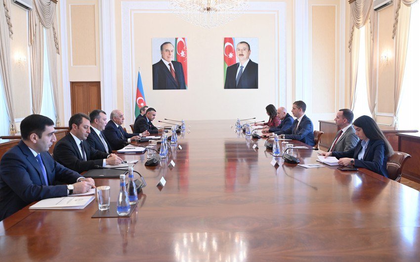 Əli Əsədov Serbiyanın xarici işlər nazirini QƏBUL ETDİ
