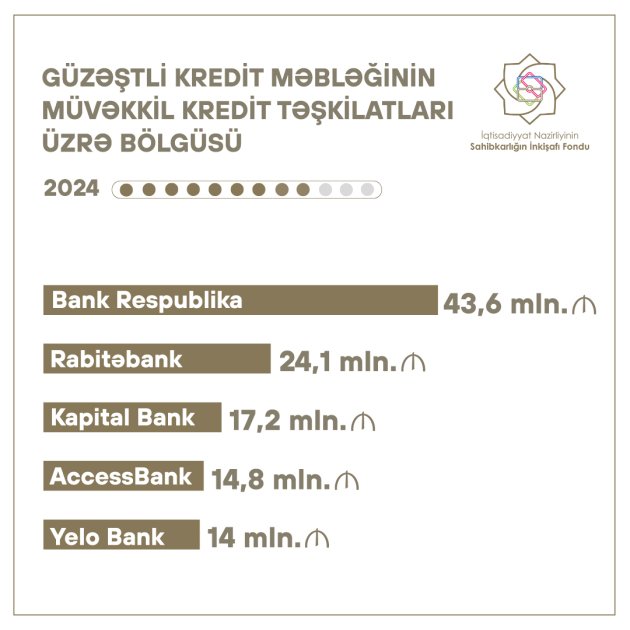 Doqquz ayda layihələrin maliyyələşdirilməsinə 167,6 milyon manat güzəştli kredit VERİLDİ - FOTO - foto 2