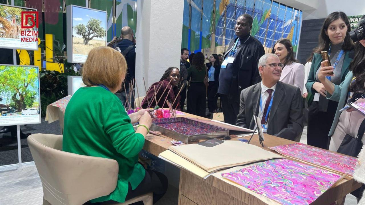 COP29-da iştirak edən ölkələrin pavilyonları - FOTOREPORTAJ - foto 4
