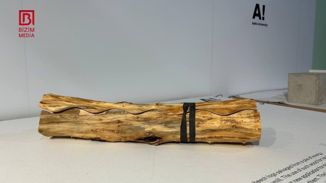 COP29-da iştirak edən ölkələrin pavilyonları - FOTOREPORTAJ - foto 14