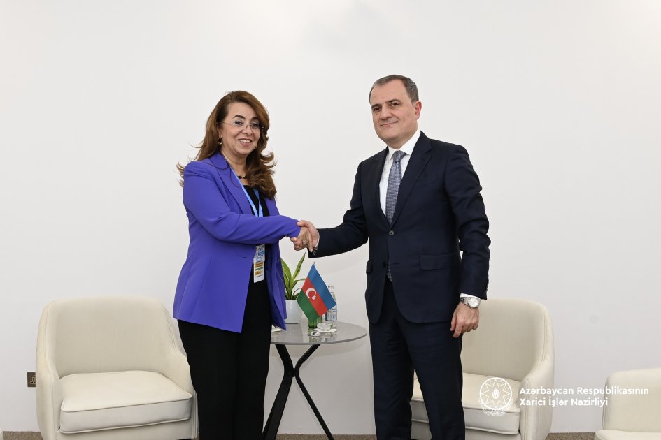 Azərbaycanla BMT-nin Narkotiklər və Cinayətkarlıq üzrə idarəsi arasında əməkdaşlıq müzakirə olundu - FOTO