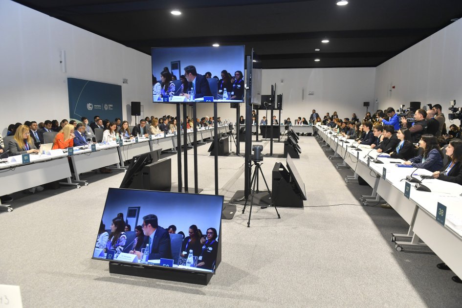 COP29-da &ldquo;uşaqlar və gənclərin iqlim fəallığı" mövzusunda yüksəksəviyyəli dəyirmi masa KEÇİRİLDİ - FOTO