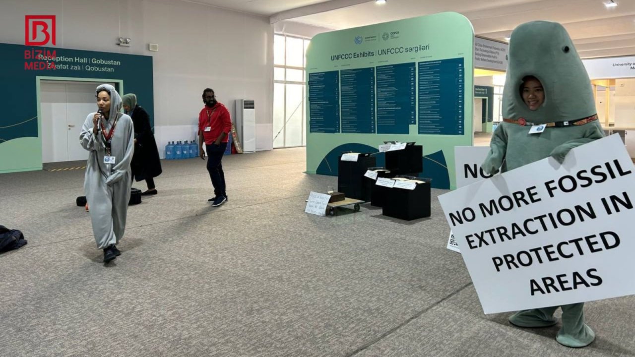 COP29-un on ikinci günündən FOTOREPORTAJ - foto 2