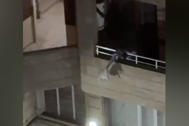 Bakıda pişiyə rəhmsiz rəftar edən şəxs polis şöbəsinə çağırıldı - VİDEO Bakıda pişiyə rəhmsiz rəftar edən şəxs polis şöbəsinə çağırıldı - VİDEO