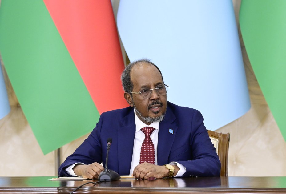 Azərbaycan və Somali prezidentləri mətbuata bəyanatlarla çıxış ediblər - FOTO - foto 5