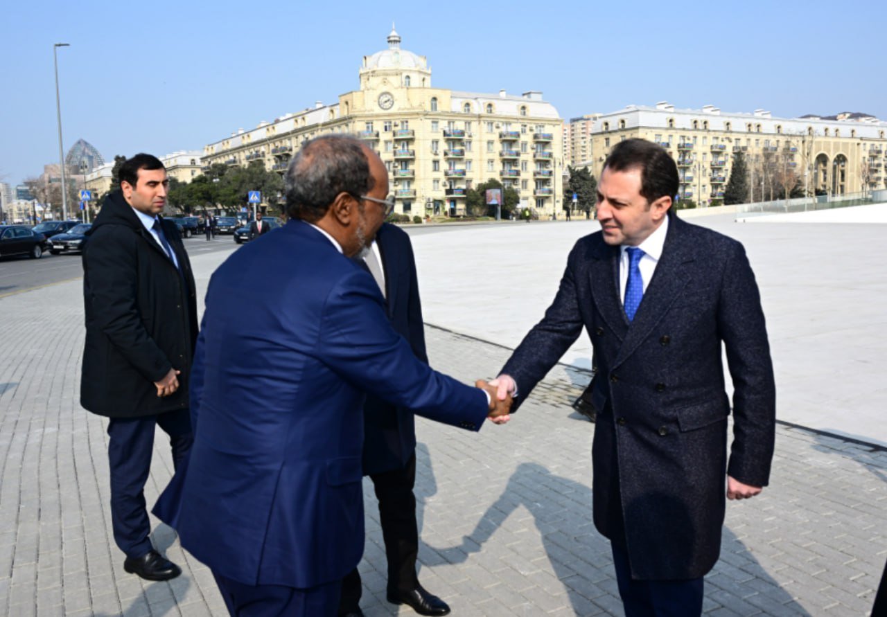 Somali Prezidenti Bakıda Zəfər parkını ziyarət etdi - FOTO - foto 5