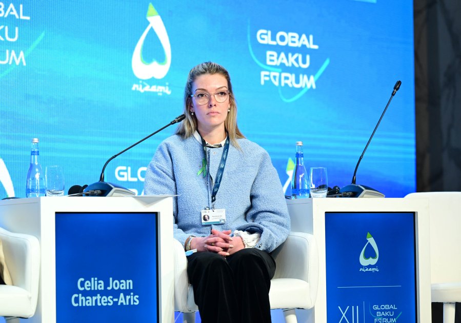 XII Qlobal Bakı Forumu: “Gənclər danışsın, biz dinləyək” mövzusunda panel iclas keçirildi - FOTO - foto 3
