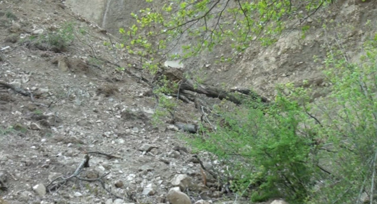 Qaxda uçqunun DETALLARI AÇIQLANDI - FOTO - foto 3
