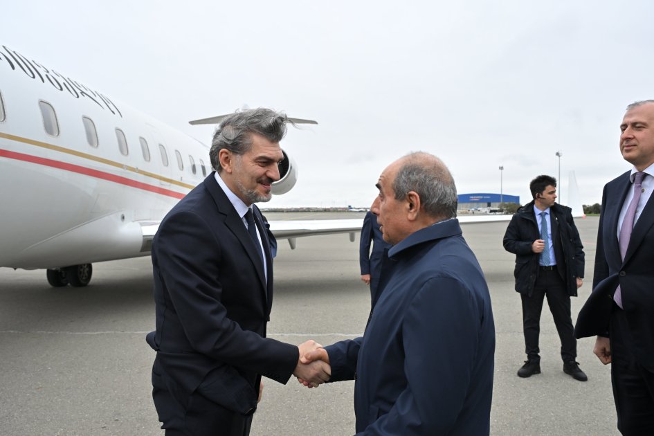 Gürcüstan Prezidenti Azərbaycana GƏLDİ &ndash; FOTO
