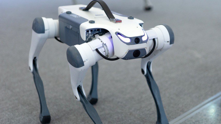 Çin terrorla mübarizədə robot itlərdən İSTİFADƏ EDƏCƏK - VİDEO
