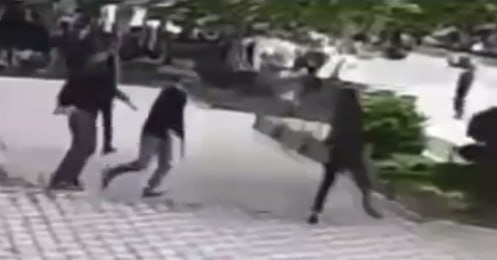 Gəncədə 2 nəfərin bıçaqlandığı davanın ANBAAN VİDEOSU
