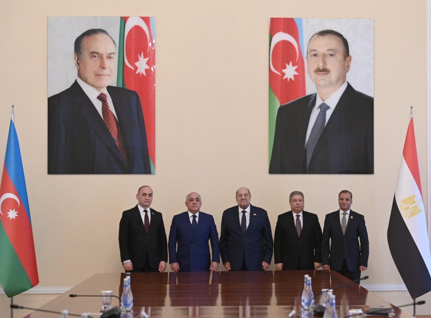 Baş nazir Misir Senatının sədri ilə GÖRÜŞDÜ - FOTO - foto 1