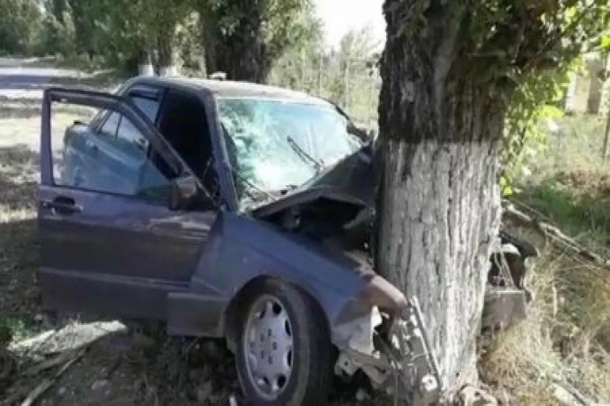 Göygöldə avtomobil ağaca çırpılıb: Xəsarət alanlar var