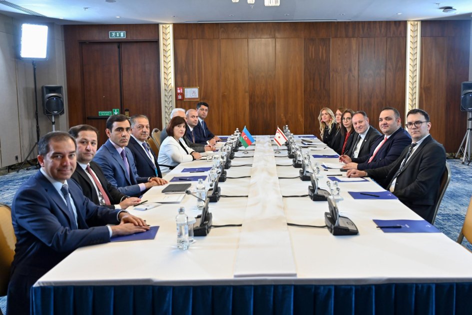Şimali Kipr Türk Cümhuriyyəti Məclisinin sədri Azərbaycana təşəkkür etdi - FOTO