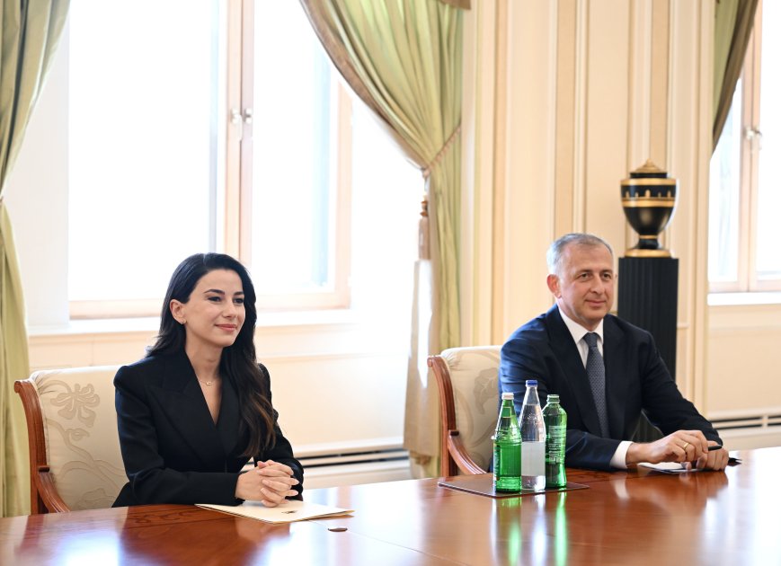 İlham Əliyev gürcüstanlı naziri qəbul etdi – FOTO/VİDEO - foto 3