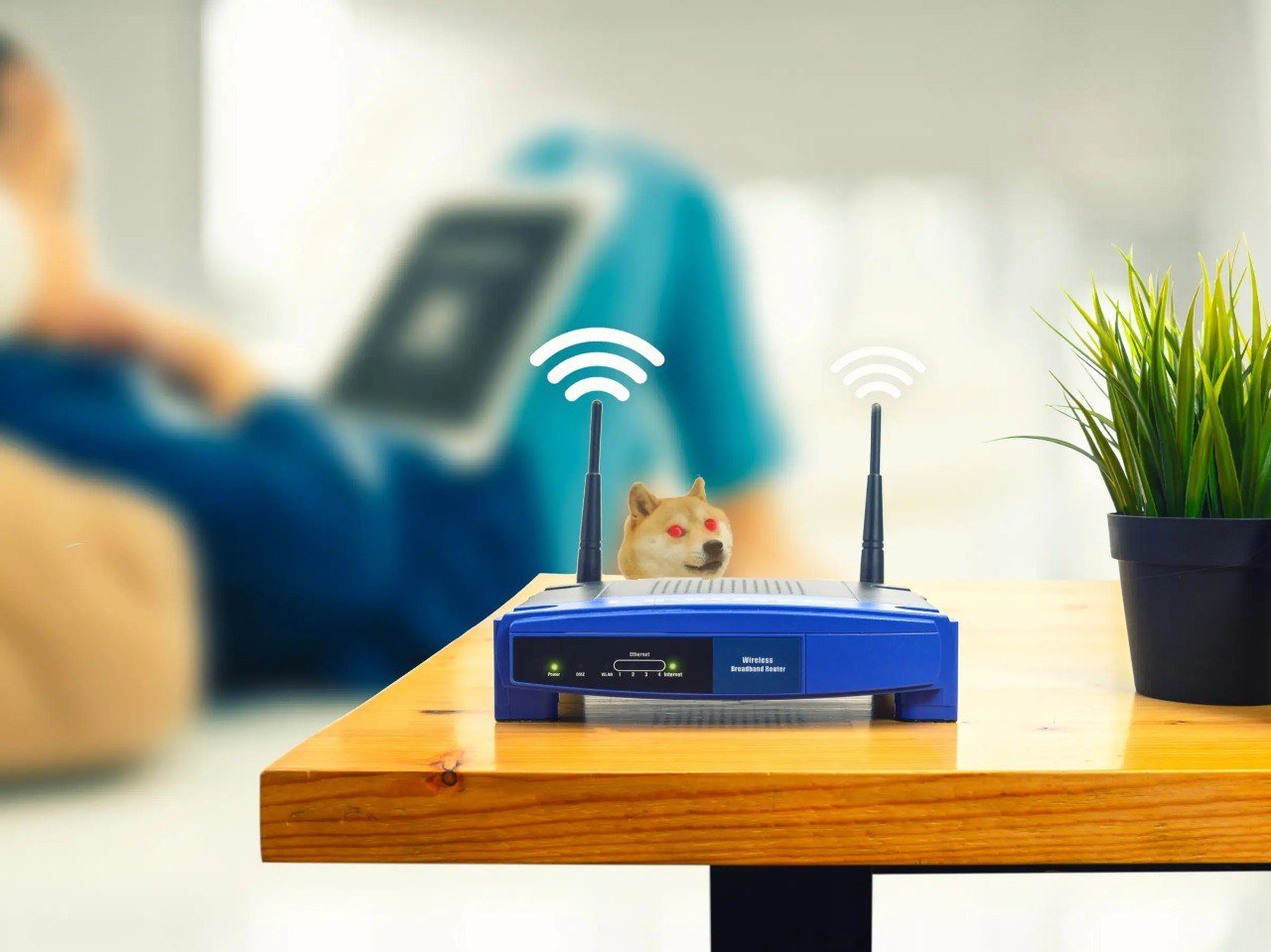 Yaponiyada internet sürətində YENİ REKORD müəyyən edildi