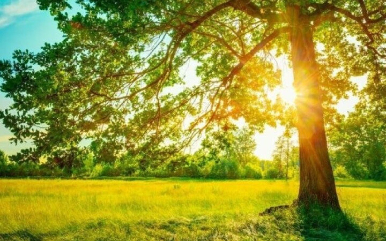 Sabah 40 dərəcə isti olacaq &ndash; PROQNOZ