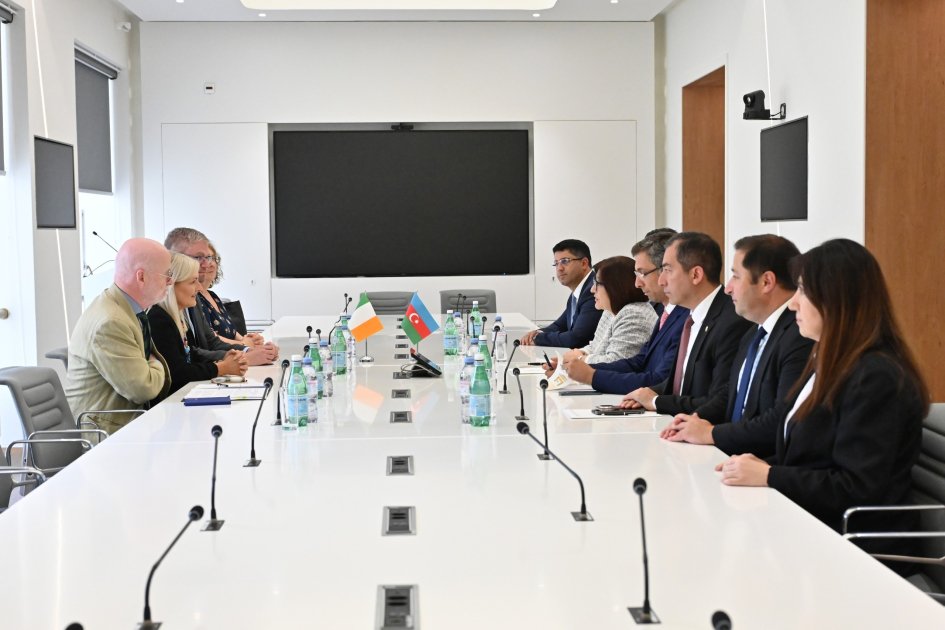 Sahibə Qafarova Cenevrədə bir sıra ölkələrin parlament sədrləri ilə görüşlər keçirdi - FOTO