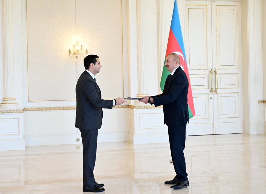 İlham Əliyev Slovakiyanın yeni səfiri Elçin Qasımovu qəbul etdi &ndash; FOTO