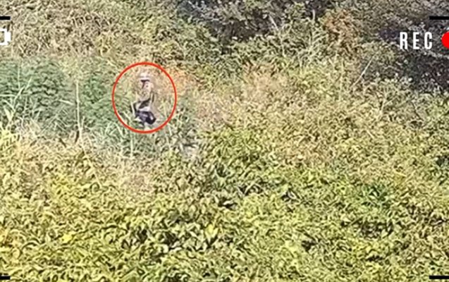 Polis meşədə əməliyyat keçirdi: Həbs edilən var &ndash; ANBAAN VİDEO