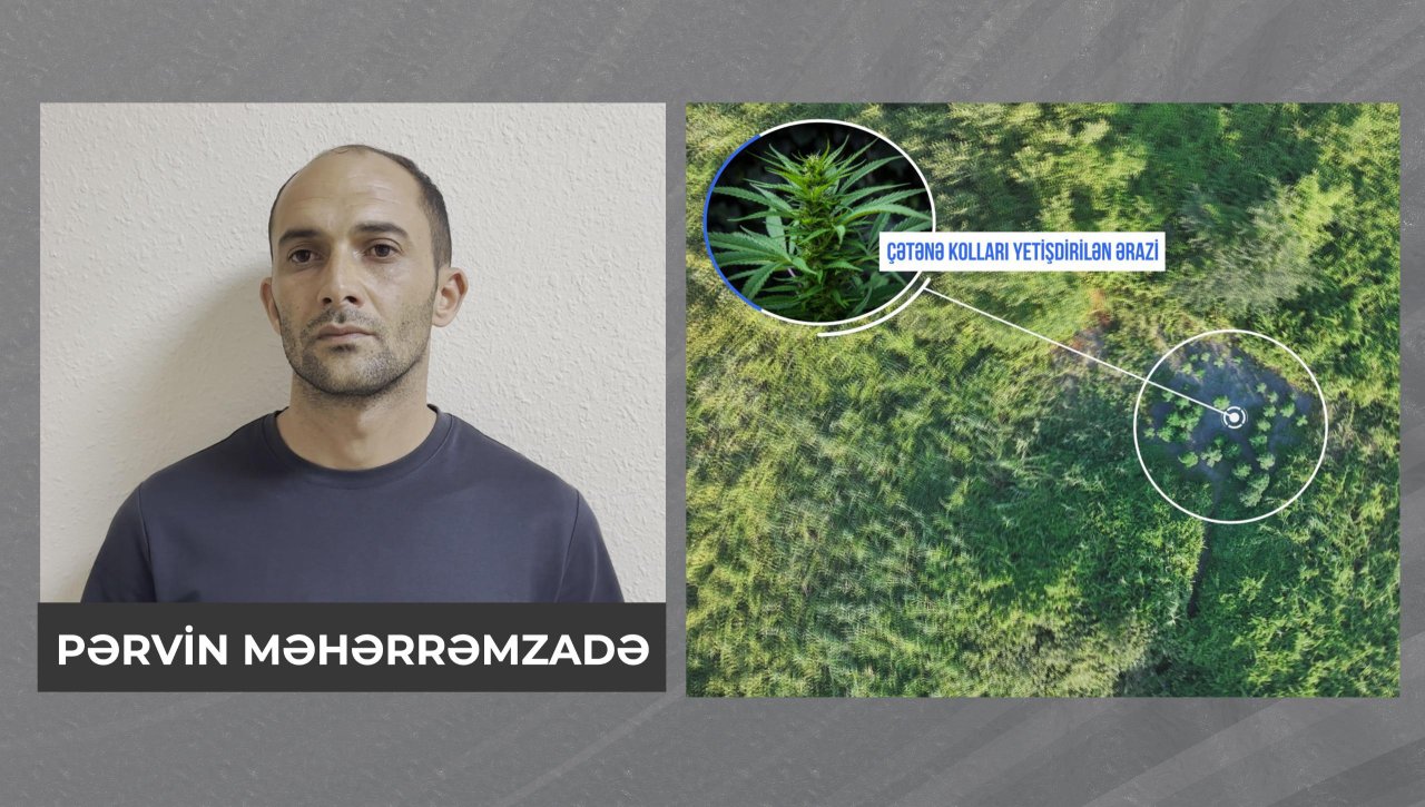 Polis meşədə əməliyyat keçirdi: Həbs edilən var – ANBAAN VİDEO - foto 2