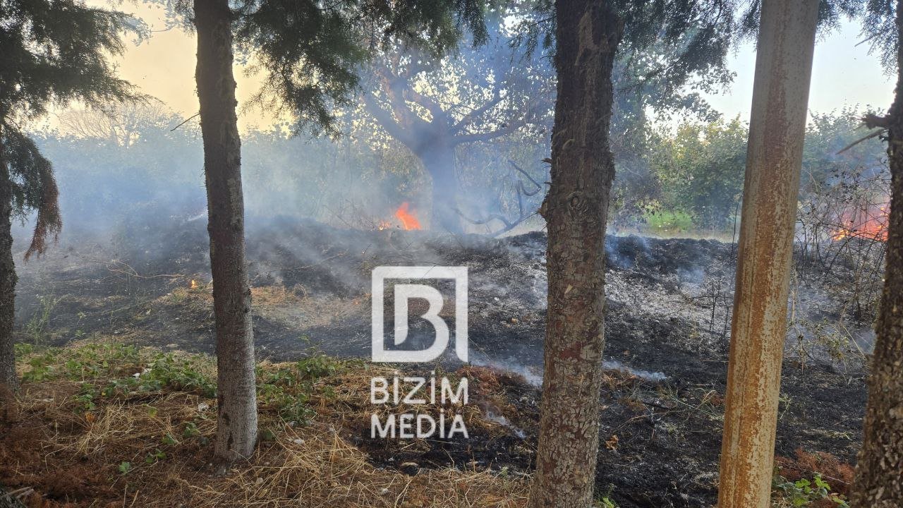 Xaçmazın Palıdlı kəndində anidən şiddətli YANĞIN BAŞLAYIB - FOTO/VİDEO - foto 1