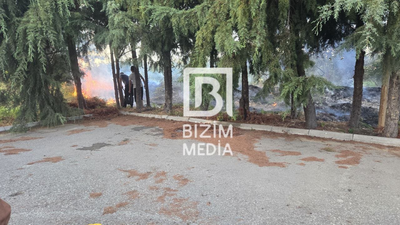 Xaçmazın Palıdlı kəndində anidən şiddətli YANĞIN BAŞLAYIB - FOTO/VİDEO - foto 2