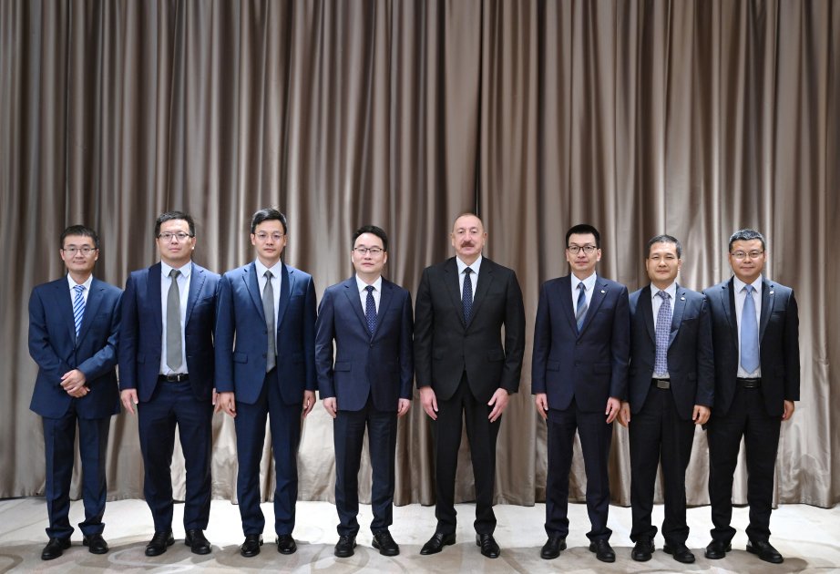 İlham Əliyev “Powerchina group” şirkətinin vitse-prezidenti ilə görüşdü – FOTO - foto 2