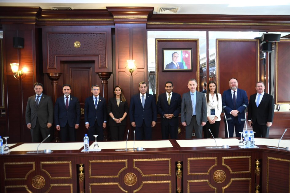 Milli Məclisdə Britaniya nümayəndə heyəti ilə parlamentlərarası əməkdaşlıq MÜZAKİRƏ OLUNDU - FOTO - foto 1
