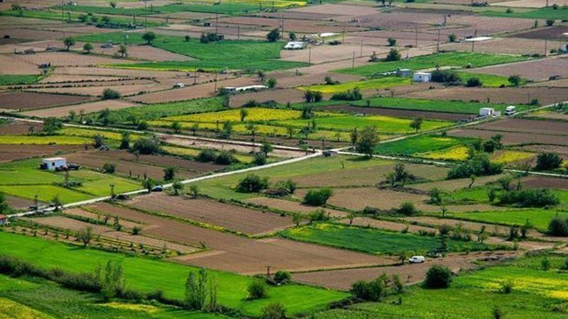 Kənd təsərrüfatı təyinatlı torpaqlarla bağlı YENİLİK – Tikinti qaydaları DƏYİŞDİ Kənd təsərrüfatı təyinatlı torpaqlarla bağlı YENİLİK – Tikinti qaydaları DƏYİŞDİ