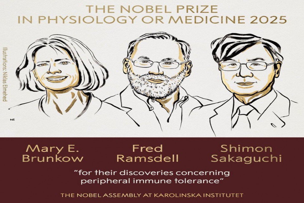 3 alimə Nobel mükafatı verildi - foto 1