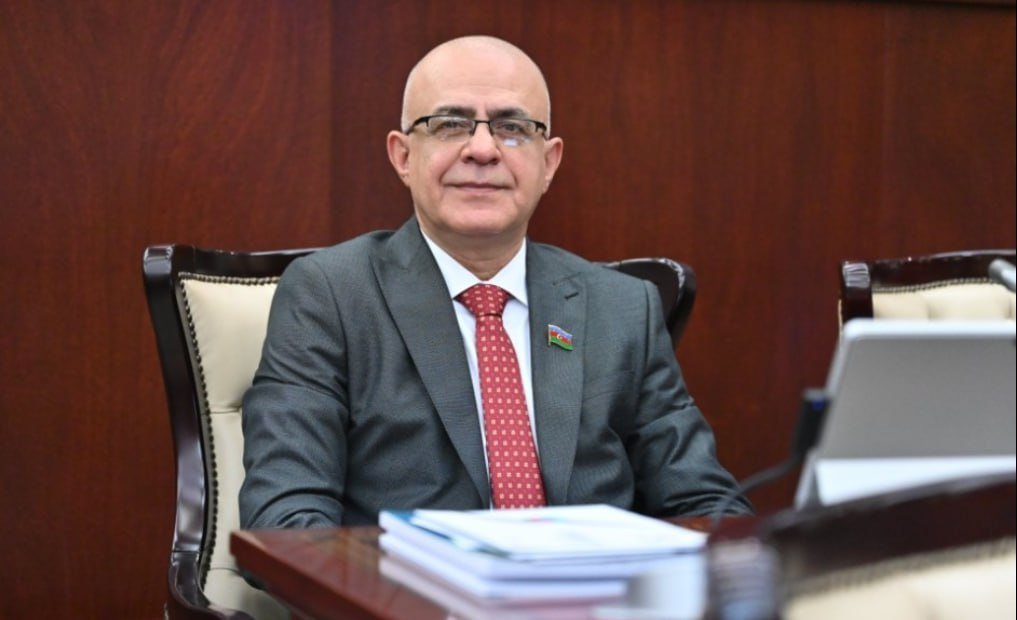 Elçin Mirzəbəyli partiyasından XARİC EDİLDİ