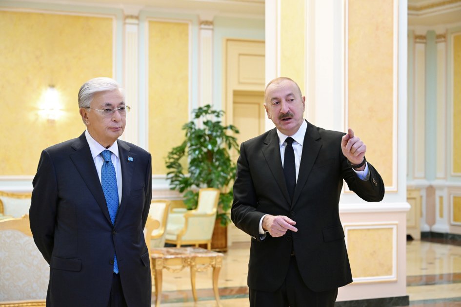 Prezidentlərə “Orta dəhlizin inkişafı” birgə layihəsi təqdim edildi – FOTO/VİDEO - foto 2