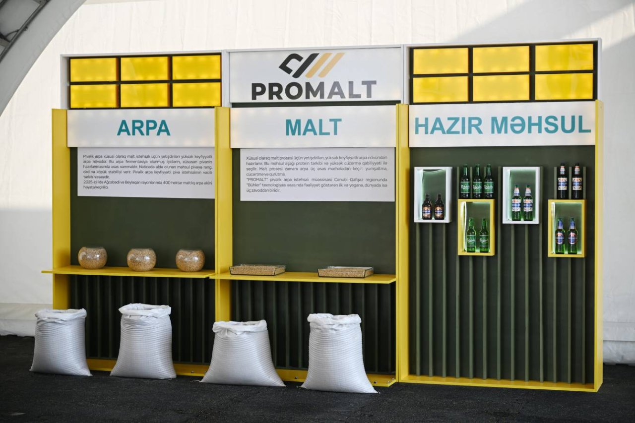 Prezident İmişlidə arpa emalı müəssisəsinin açılışını ETDİ – FOTO/VİDEO - foto 14