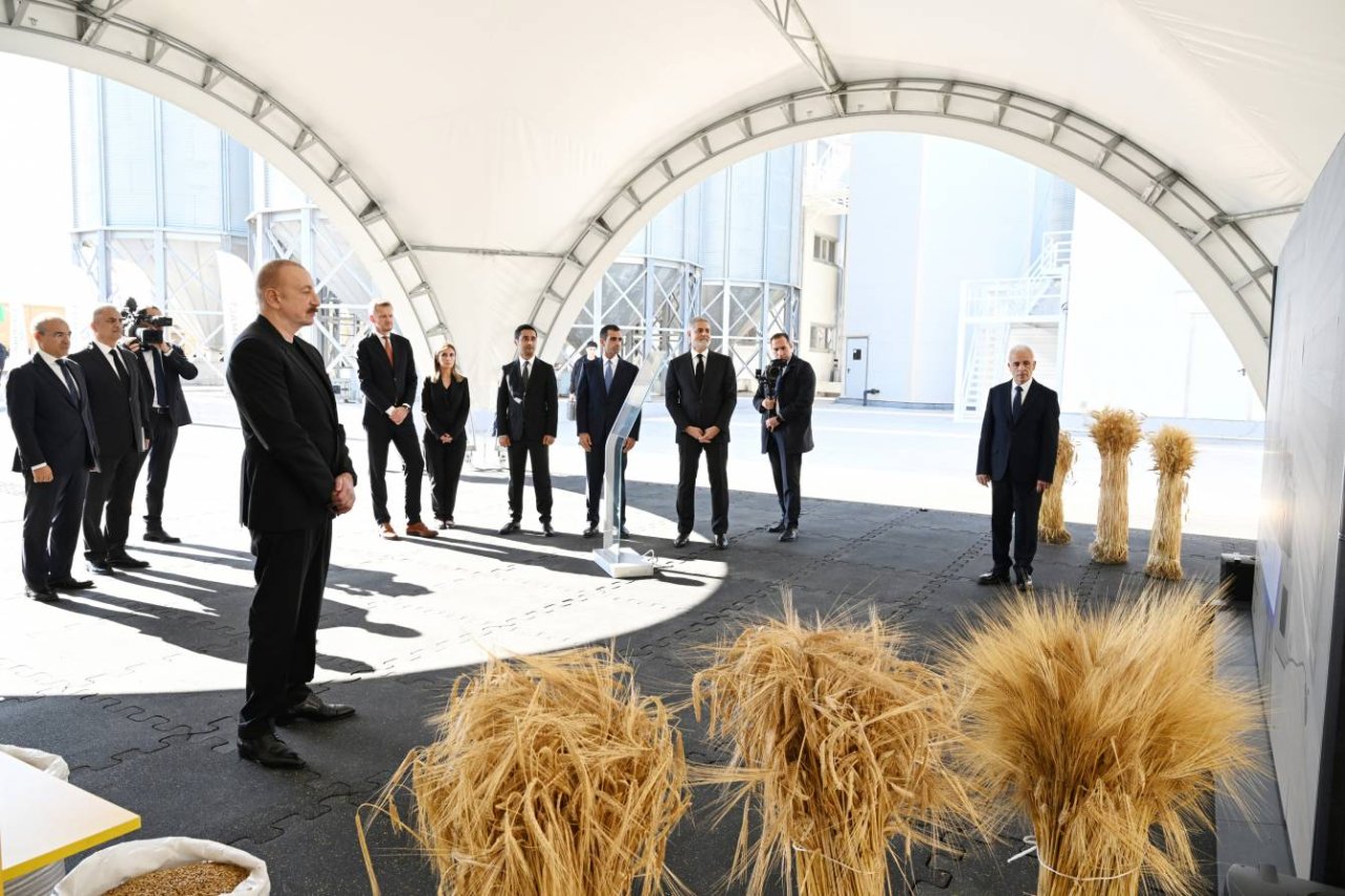 Prezident İmişlidə arpa emalı müəssisəsinin açılışını ETDİ – FOTO/VİDEO - foto 3