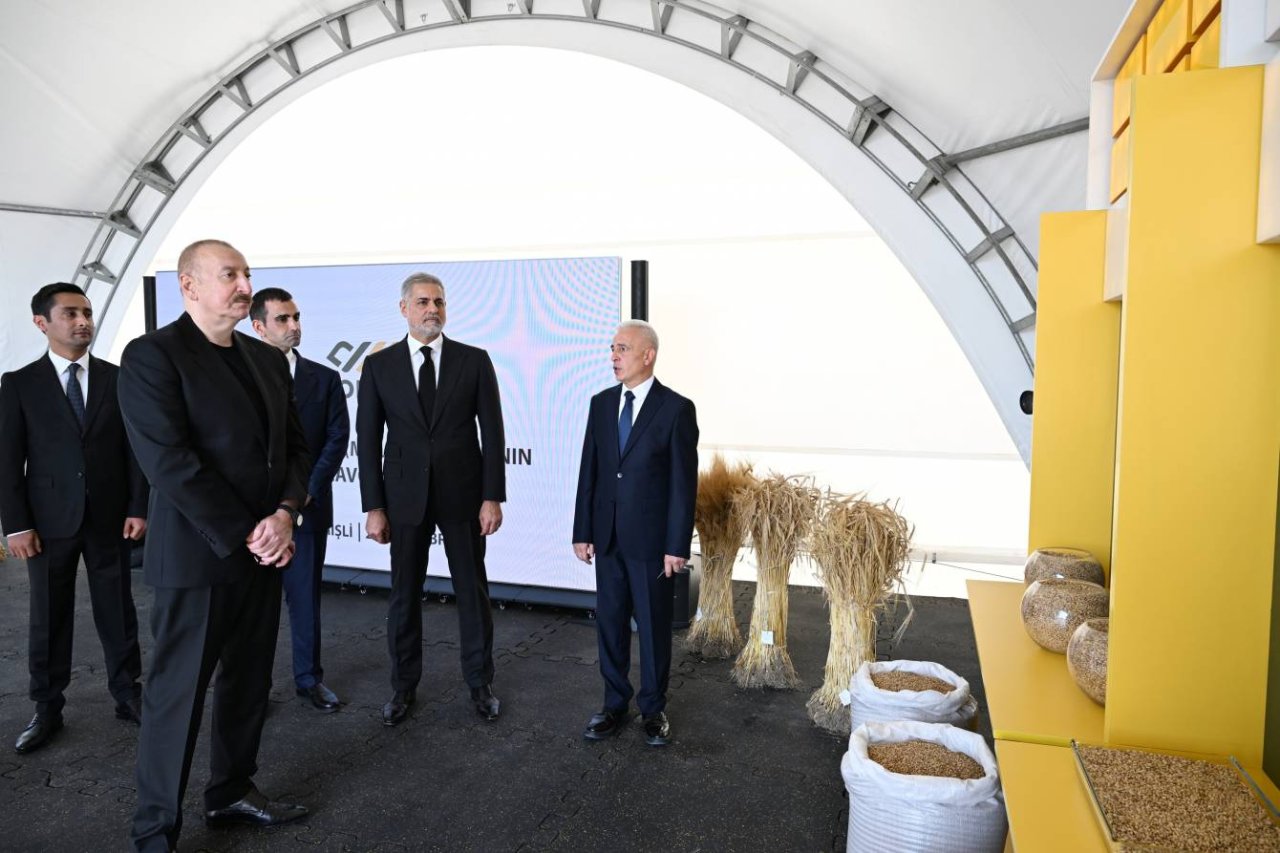 Prezident İmişlidə arpa emalı müəssisəsinin açılışını ETDİ – FOTO/VİDEO - foto 4