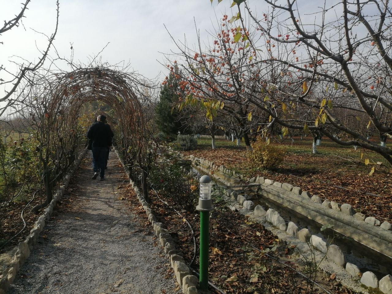 Şəkinin naxışlarla danışan DÜNYASI - Sənətin və təbiətin ritminə SƏYAHƏT - REPORTAJ - foto 19
