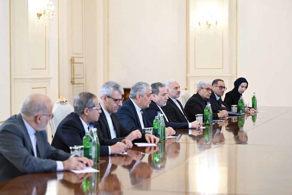 Prezident Əraqçini qəbul etdi – FOTO - foto 3
