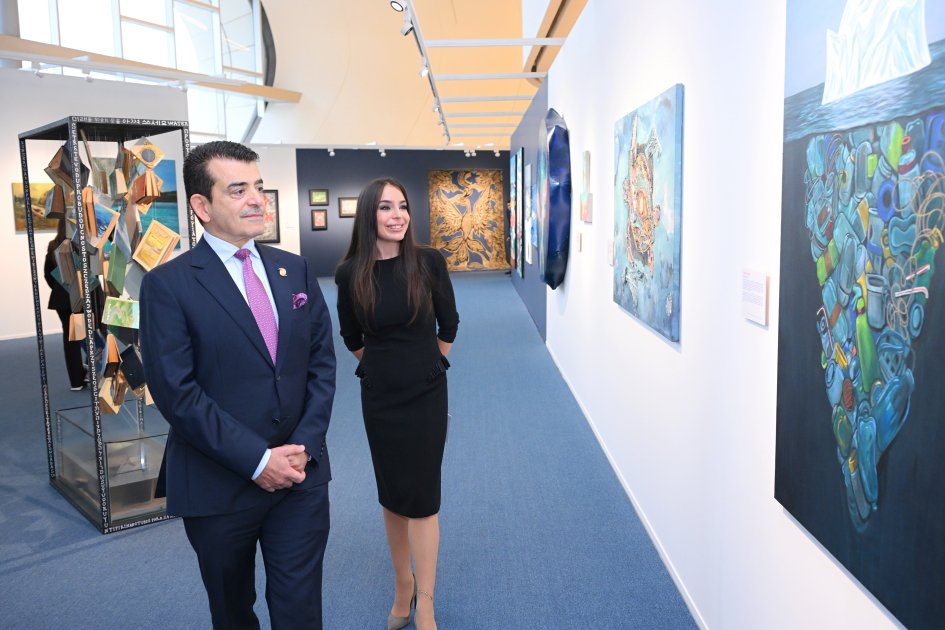 Leyla Əliyeva Bakıda keçirilən beynəlxalq konfransda iştirak etdi - FOTO - foto 19
