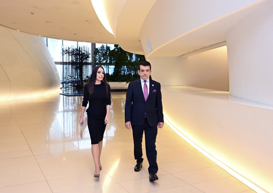 Leyla Əliyeva Bakıda keçirilən beynəlxalq konfransda iştirak etdi - FOTO - foto 18