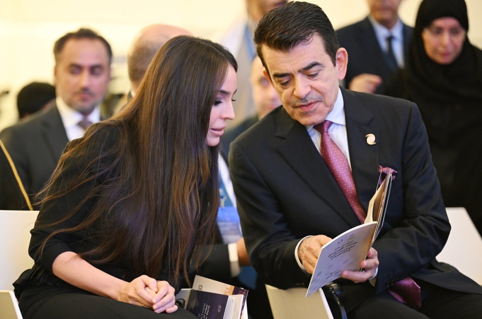 Leyla Əliyeva Bakıda keçirilən beynəlxalq konfransda iştirak etdi - FOTO - foto 3