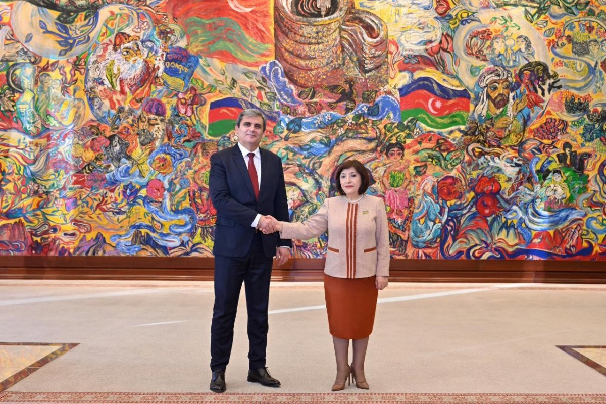 Sahibə Qafarova Monteneqro XİN rəhbəri ilə görüşdü – FOTO Sahibə Qafarova Monteneqro XİN rəhbəri ilə görüşdü – FOTO